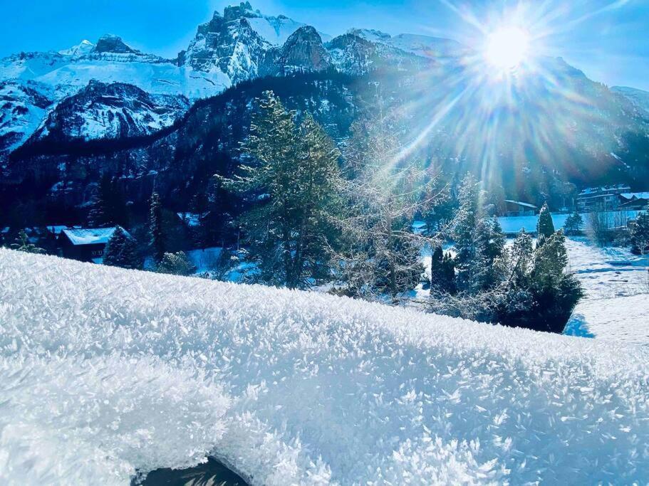 Unique Penthouse With Gallery And Mountain View Kandersteg Dış mekan fotoğraf